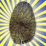 Detektor_lzhi_nok_208x208_[Java.UZ]